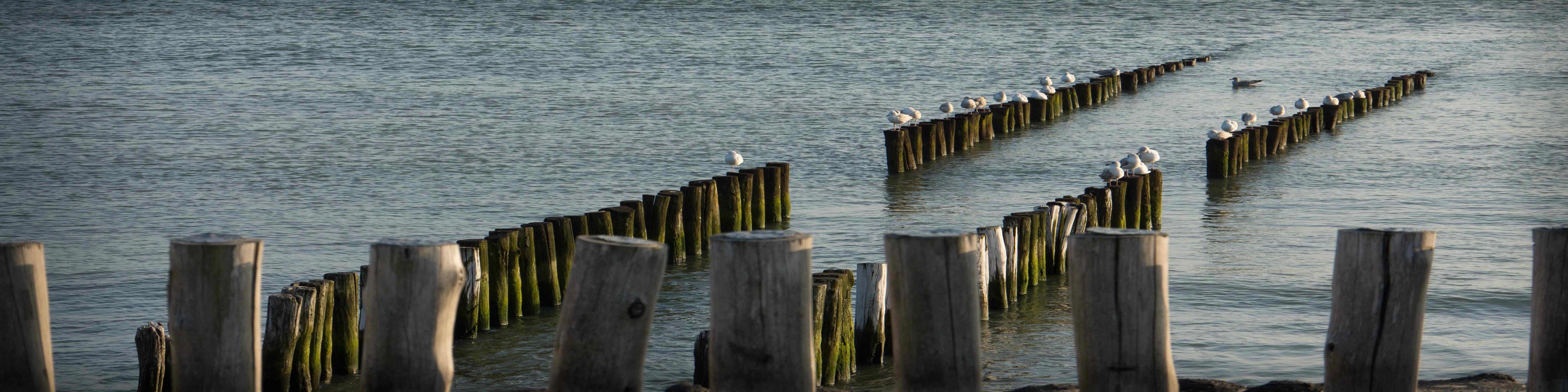 NL_meer_03 (Copy).jpg